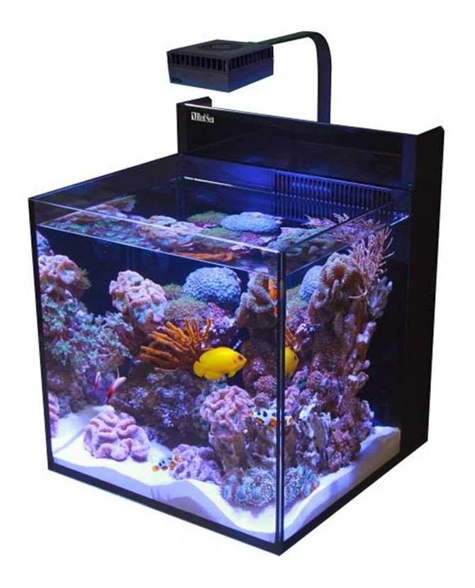 adopteren voorzien Gewoon Red Sea NANO MAX® Complete Reef System 75 liters (Aquarium Without  Furniture)